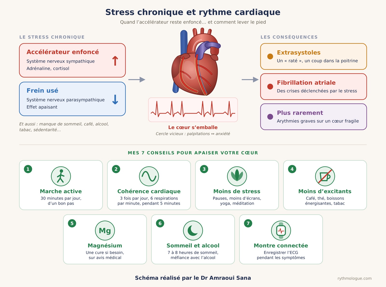 Stress chronique et rythme cardiaque